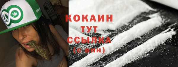 твердый Гусь-Хрустальный