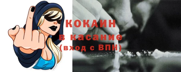 твердый Гусь-Хрустальный
