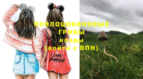 твердый Гусь-Хрустальный