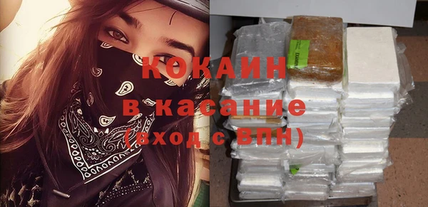 твердый Гусь-Хрустальный