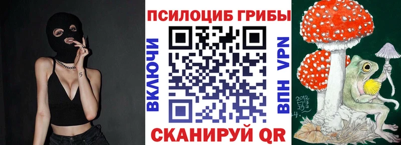Псилоцибиновые грибы Cubensis  закладки  Добрянка 