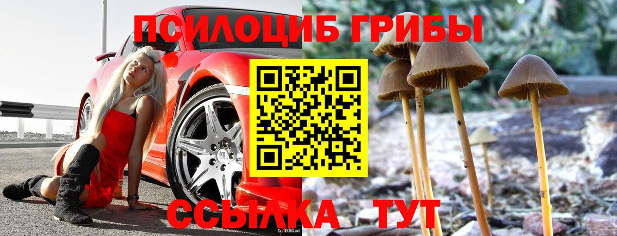 Добрянка  Псилоцибиновые грибы мухоморы  Вход с VPN 